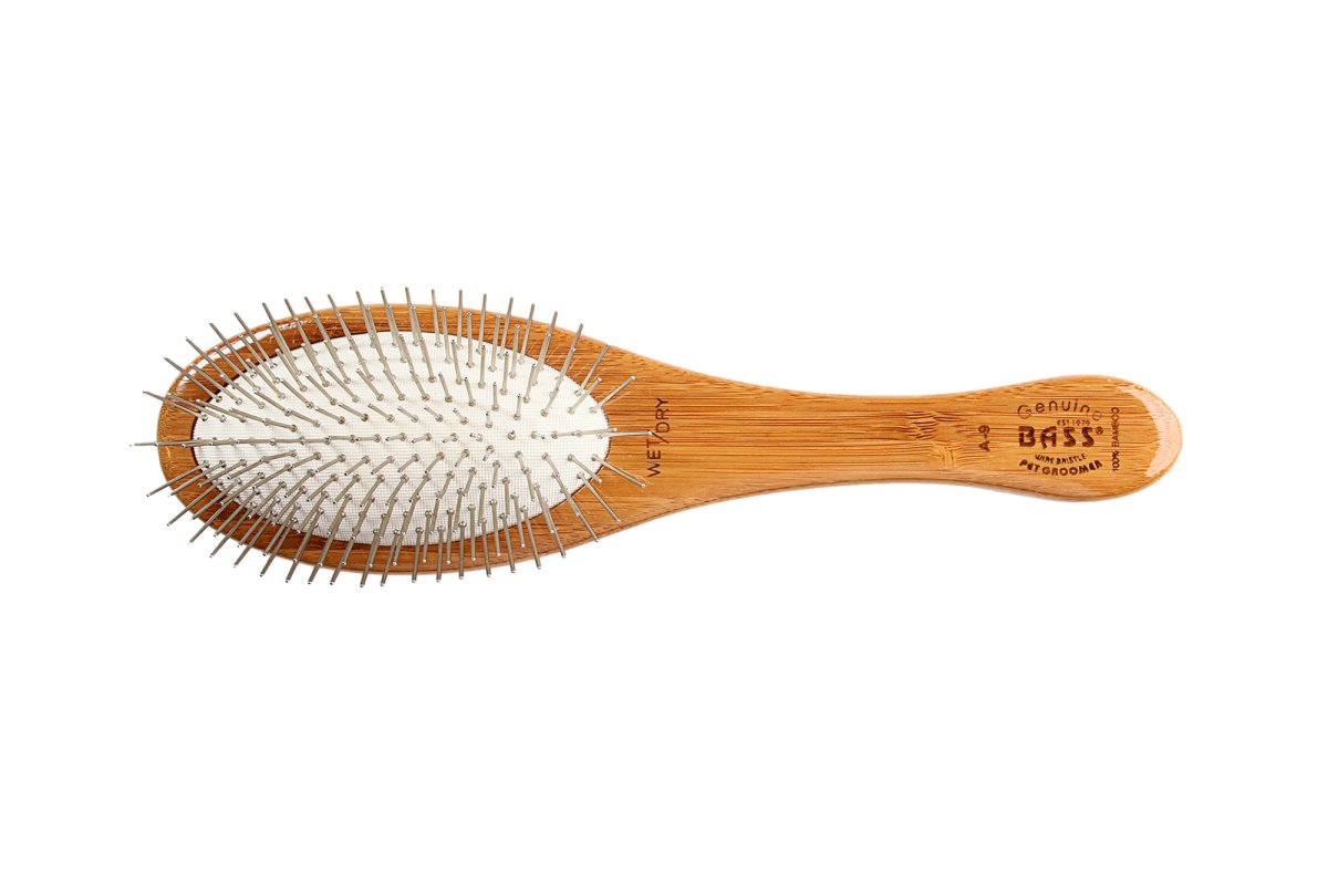 Pinnborste Bass Brushes Oval