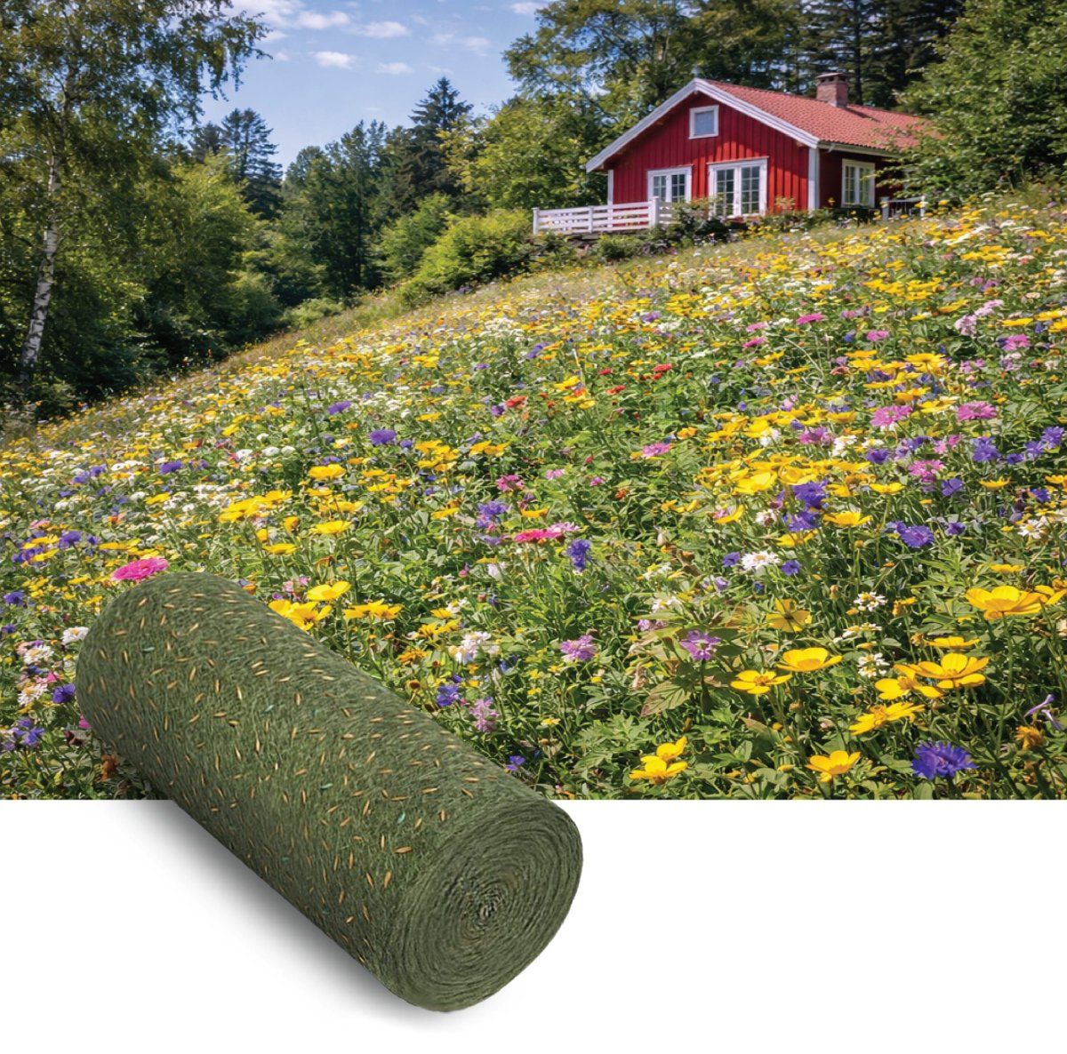 Blomsterängsblandning Humla | Ettåriga och Fleråriga 5kvm - Bild 2