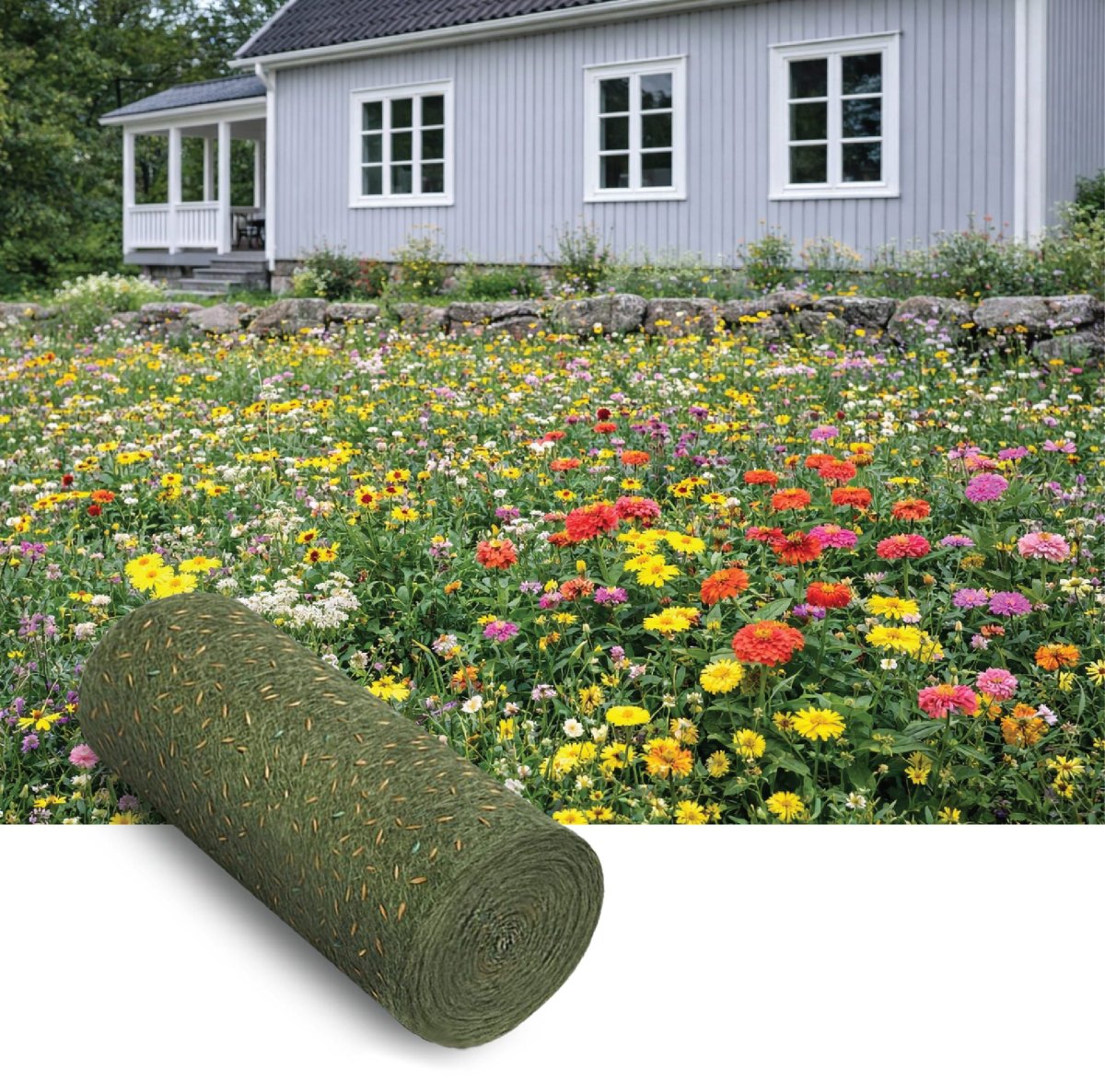 Blomsterängsblandning Lågväxande | Ettåriga och Fleråriga 5kvm